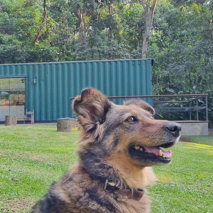 הוילה סאו פאולו Casa Container Na Represa De Guarapiranga! Sonho! מראה חיצוני תמונה